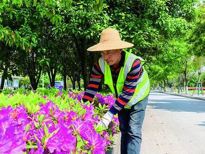 脱军装拿刀剪 ,湖北省最美风景园林人助力绿色城市建设