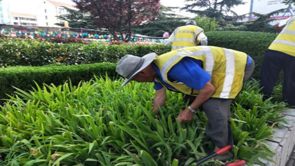 文登区园林局对标先进找差距 学习经验促提升