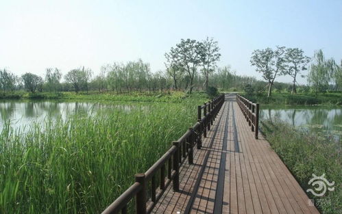 骄傲 苏州虎丘湿地公园获国际大奖