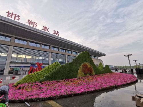 五一 赏城市鲜花 敬城市园林人