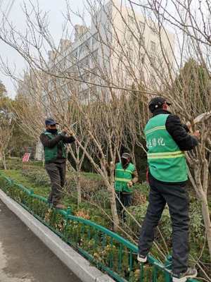 市综合行政执法局开展春季园林绿化养护工作