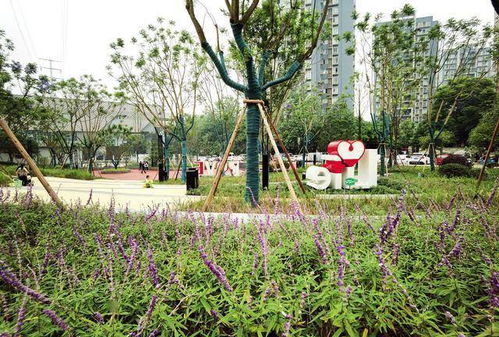 一座 会呼吸 的公园 九龙坡区首个海绵城市公园正式开园