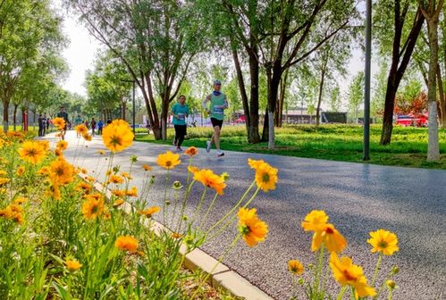 端午小长假北京全市公园首日迎客94万人次 比去年同期增加84