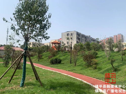 镇平县副县长王培庆带队赴南阳考察学习城市园林绿化建设工作